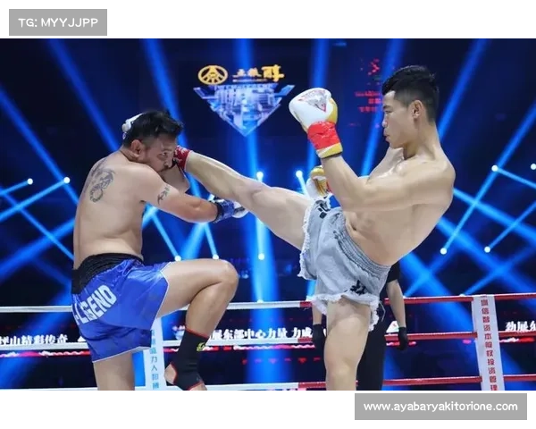 河南武林风年终总决赛