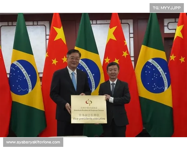 深入分析巴西赛事企业发展战略如何影响全球体育产业经济格局