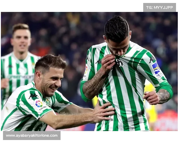 皇家贝赛事(皇家贝斯官网)