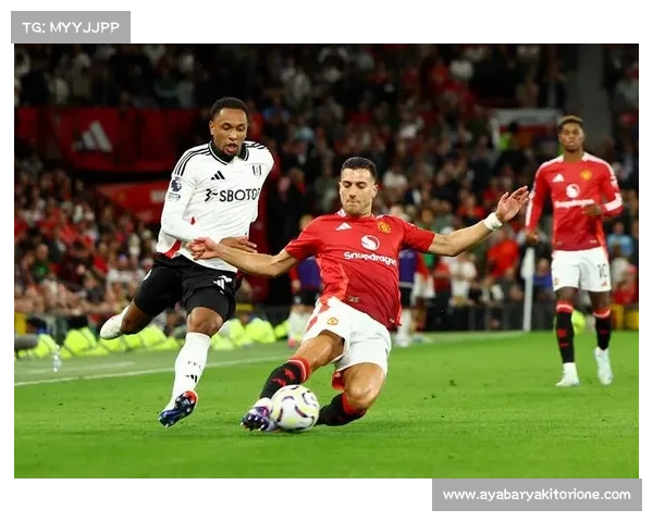 篮球赛事恢复-篮球比赛官方暂停